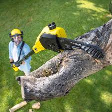 Best Aeration Services  in Chattahoochee, FL